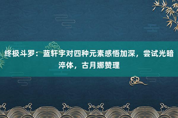 终极斗罗：蓝轩宇对四种元素感悟加深，尝试光暗淬体，古月娜赞理