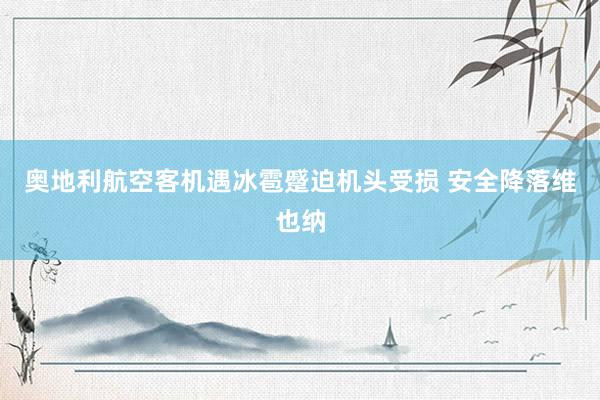 奥地利航空客机遇冰雹蹙迫机头受损 安全降落维也纳