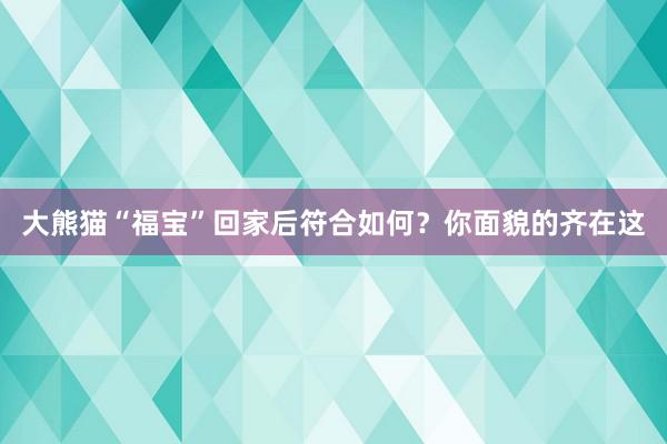 大熊猫“福宝”回家后符合如何？你面貌的齐在这