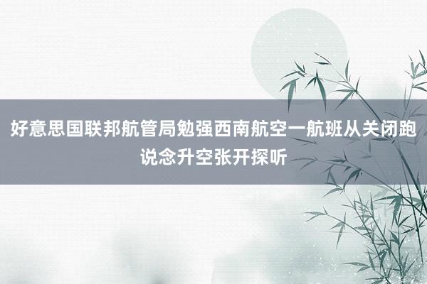 好意思国联邦航管局勉强西南航空一航班从关闭跑说念升空张开探听