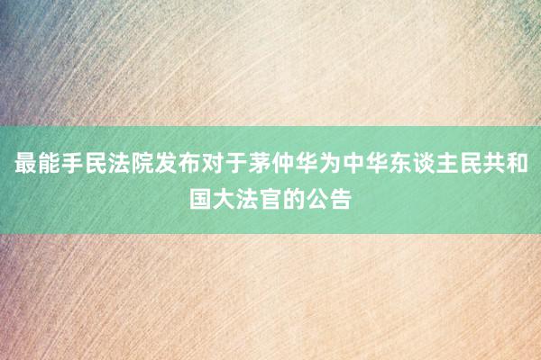 最能手民法院发布对于茅仲华为中华东谈主民共和国大法官的公告