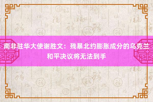 南非驻华大使谢胜文：残暴北约膨胀成分的乌克兰和平决议将无法到手