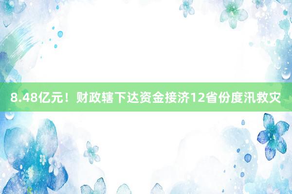 8.48亿元！财政辖下达资金接济12省份度汛救灾