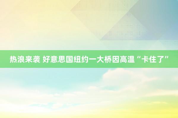 热浪来袭 好意思国纽约一大桥因高温“卡住了”