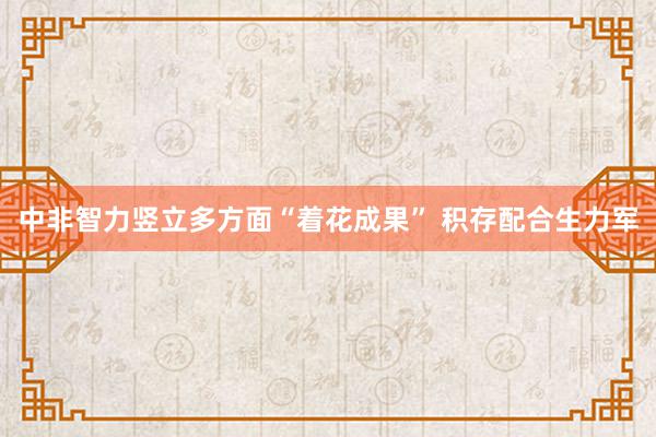 中非智力竖立多方面“着花成果” 积存配合生力军