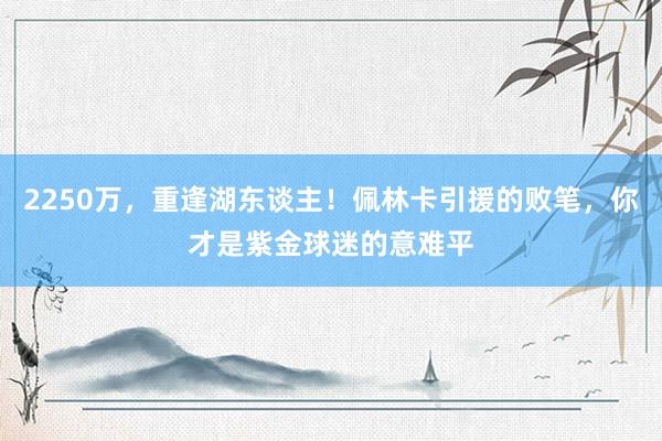 2250万，重逢湖东谈主！佩林卡引援的败笔，你才是紫金球迷的意难平