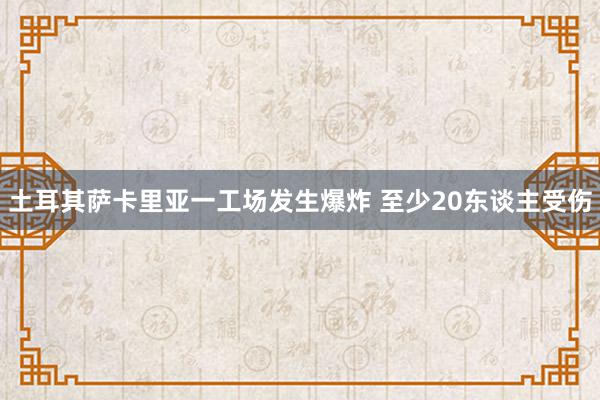 土耳其萨卡里亚一工场发生爆炸 至少20东谈主受伤