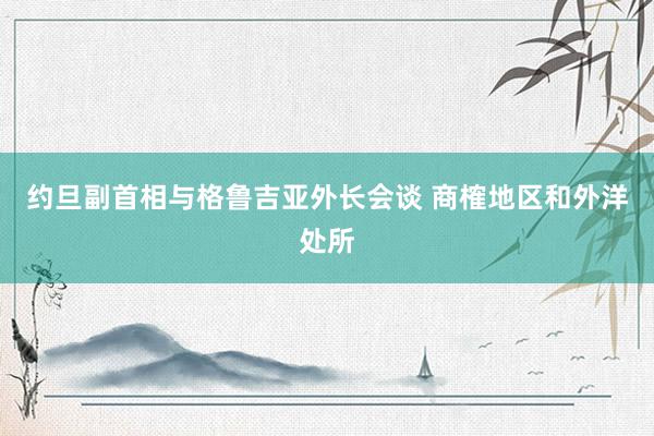 约旦副首相与格鲁吉亚外长会谈 商榷地区和外洋处所